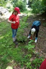 20170624 16.15-Rückweg aus dem Wald 6x.JPG