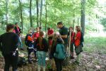 20170624 10.44-Wald - erste Erkundung 7x.JPG