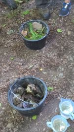 20170624 14.30-Waldseminar_Wasserspeicher 14x.jpg