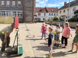 IMG_7145_bearbeitet-1.jpg