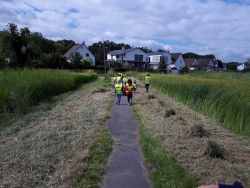 002-20180622 1615-Auf dem Hinweg 02.jpg