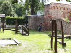 011-20180622 1628-Kuckuck 01.jpg