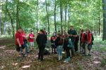 20170624 10.44-Wald - erste Erkundung 8x.JPG