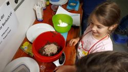 20191122 1620_01-Kugellager-Gebaeck 001.jpg