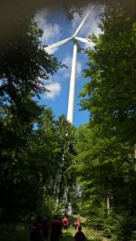 20170624 16.07-Waldseminar_Rueckweg 03x.jpg